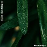 Artwork for "Island Soundscapes: Caribbean Tropicals"