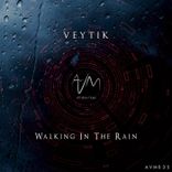 Artwork for "Walking in the Rain"