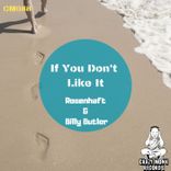 Artwork for "If You Don'tLike It"