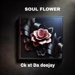 Artwork for "Soul Flower"