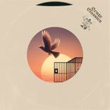 Portada para "Born to Be Free"