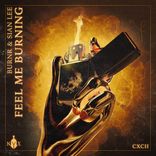 Artwork for "Feel Me Burning"