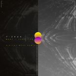 Artwork for "What I Came For"