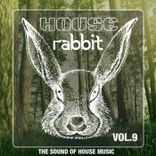 Artwork voor "House Rabbit Vol. 9"