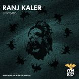 Artwork voor "Chrysalis"