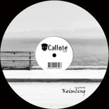 Portada para "Keimling"