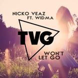 Artwork for "Won't Let Go"