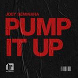 Artwork voor "Pump It Up"