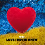 Artwork für "Love I Never Knew"
