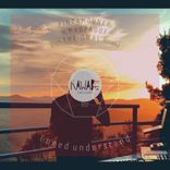 Portada para "I Need Understand"