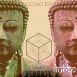 Artwork for "Domo"