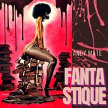 Artwork voor "Fantastique"