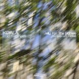 Artwork für "Cold Fragments"