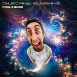 Portada para "Fools Game"