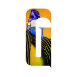 Artwork voor "Intertwine"