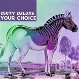 Artwork for "Your Choice"