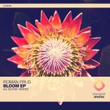 Portada para "Bloom / Divided"