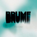 Artwork for "Brume"