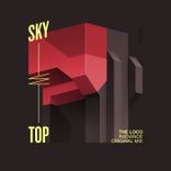 Portada para "Radiance"