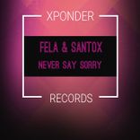 Artwork for "Never Say Sorry"