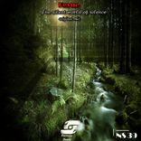 The Silent World of Silence