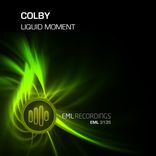 Portada para "Liquid Moment"