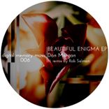 Artwork for "Beautiful Enigma"
