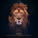 Artwork for "Controlled/Disorder"