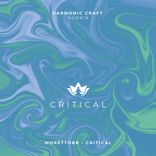 Artwork for "Critical"