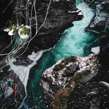 Artwork for "From The Tool Vault"