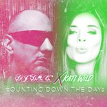 Artwork voor "Counting Down the Days"