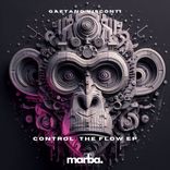 Artwork for "Control The Flow EP"