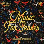 Artwork for "Music for Senses - ADE 2024 Compiled by BRICCIO"