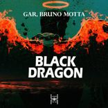 Artwork voor "Black Dragon"