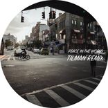 Artwork for "Peace In The World"