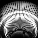 Sensor Blowflies (Original Mix)