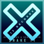 Artwork for "Shake It"