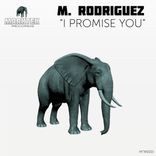 Artwork voor "I Promise You"