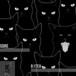 Artwork voor "B1TCH"