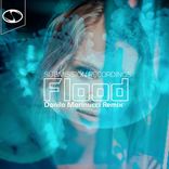 Portada para "Flood:Danilo Marinucci Remix"