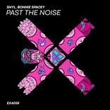 Artwork für "Past the Noise"