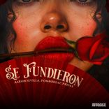 Portada para "Se Fundieron"