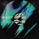 Artwork for "Indiopole"