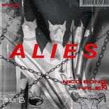 Artwork for "Alies"