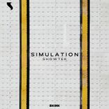 Simulation