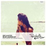 Artwork voor "Blue Lagoon"