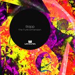 Portada para "The Funk Dimension"