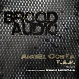 Artwork for "T.A.P."