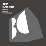 Portada para "Black Wolf"