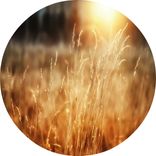 Artwork for "Happy Compilation, Vol. 13"